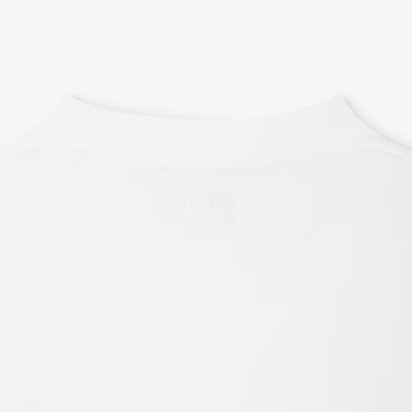 Embroidered Heavy Jersey T-shirt