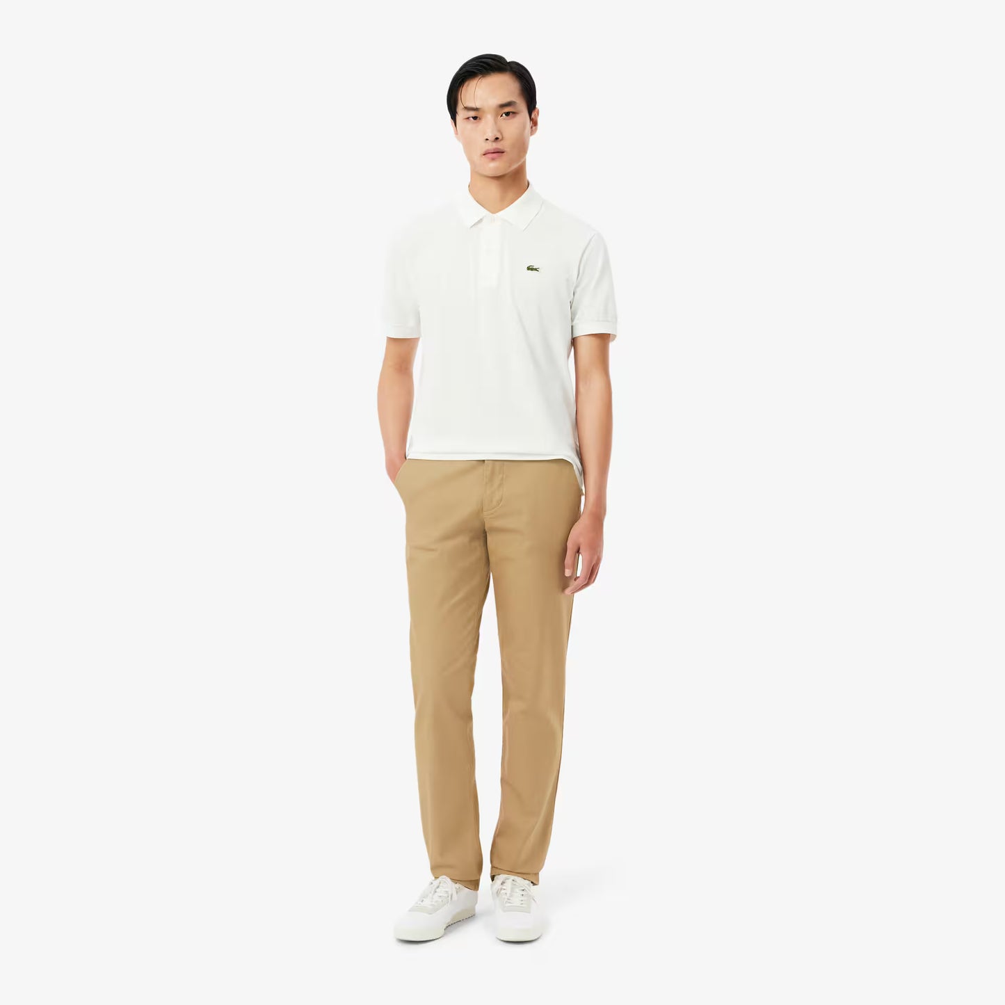 Regular Fit Cotton Chino Pants